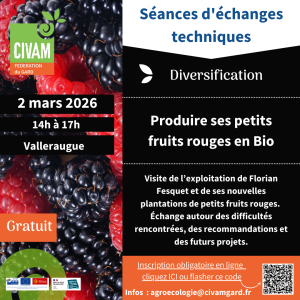 JTK_PetitsFruitsRouges_TRANSAT.png