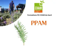 Repenser ses débouchés économiques en PPAM bio