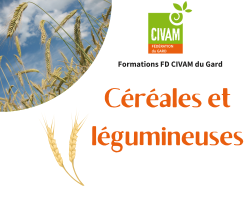 S’initier à la transformation brassicole à la ferme