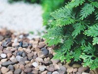 Comment décaisser le sol pour une allée en graviers ?