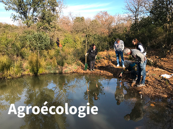 
Lien vers: Pratiques-Agroécologiques