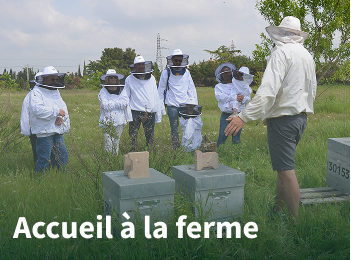 
Lien vers: Accueil-Ferme