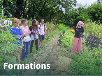 
Lien vers: Agenda-formations