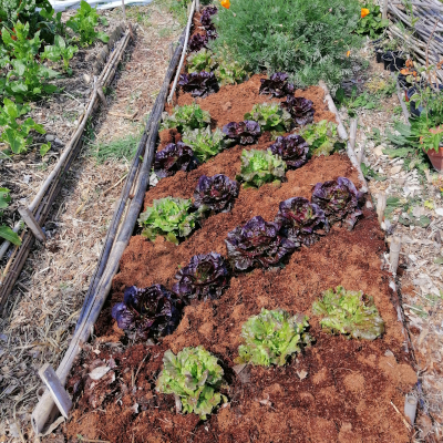 
Lien vers: accompagnement